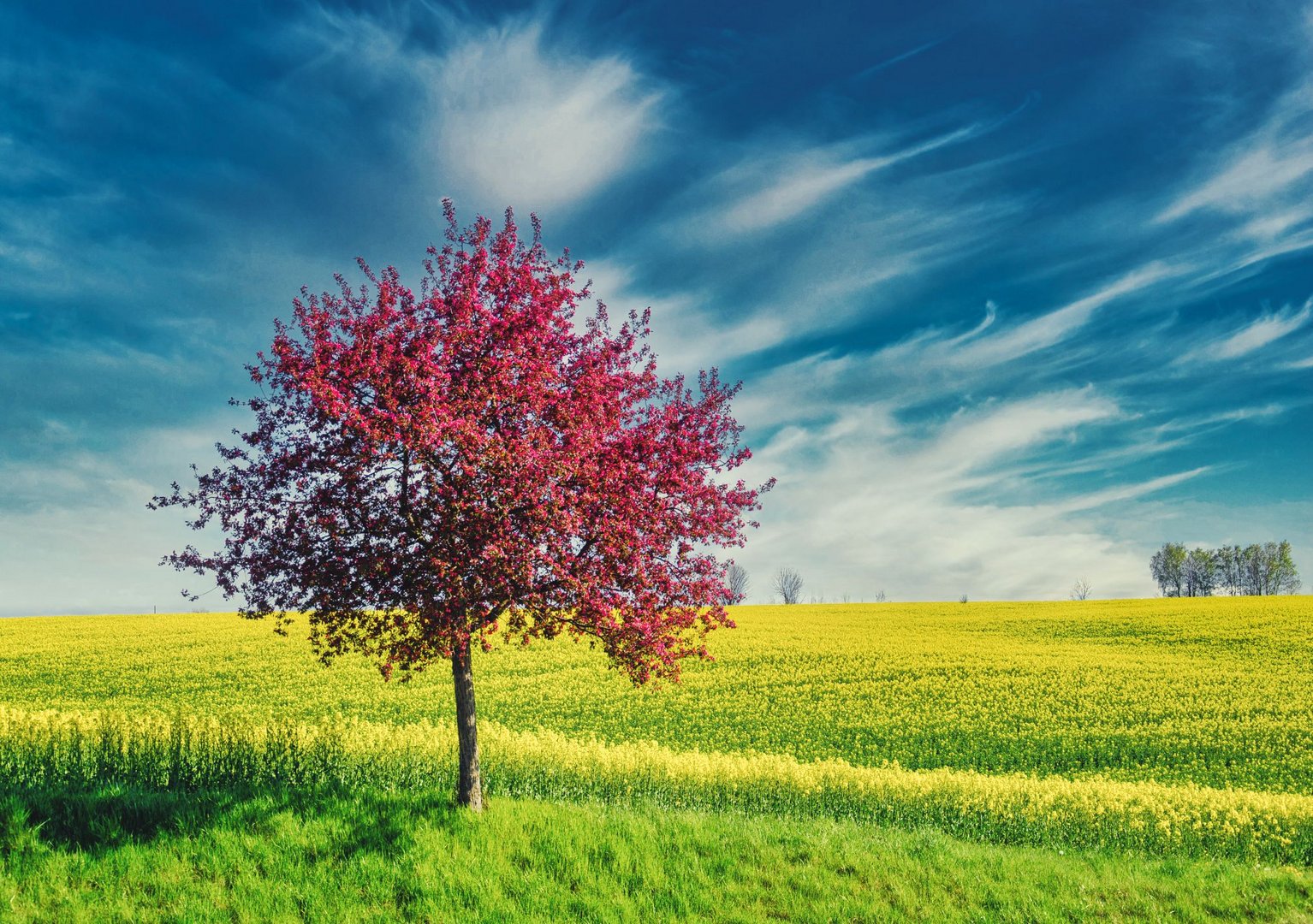 Frühling