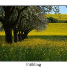 Frühling