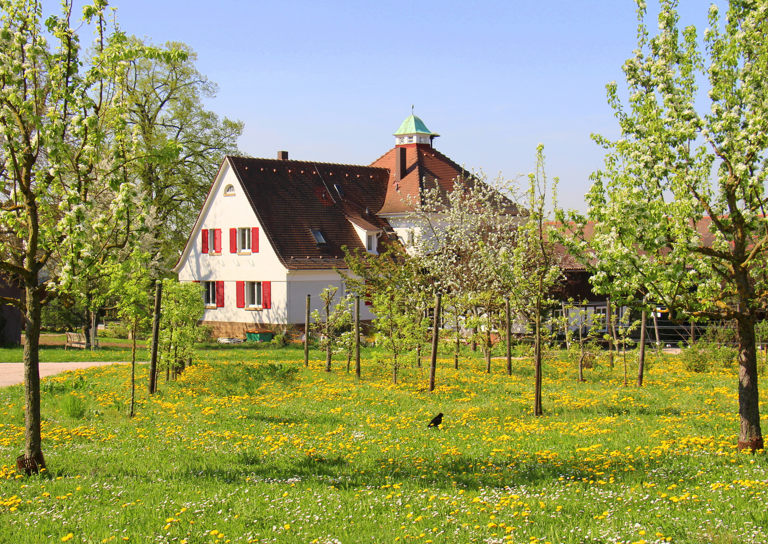 Frühling 