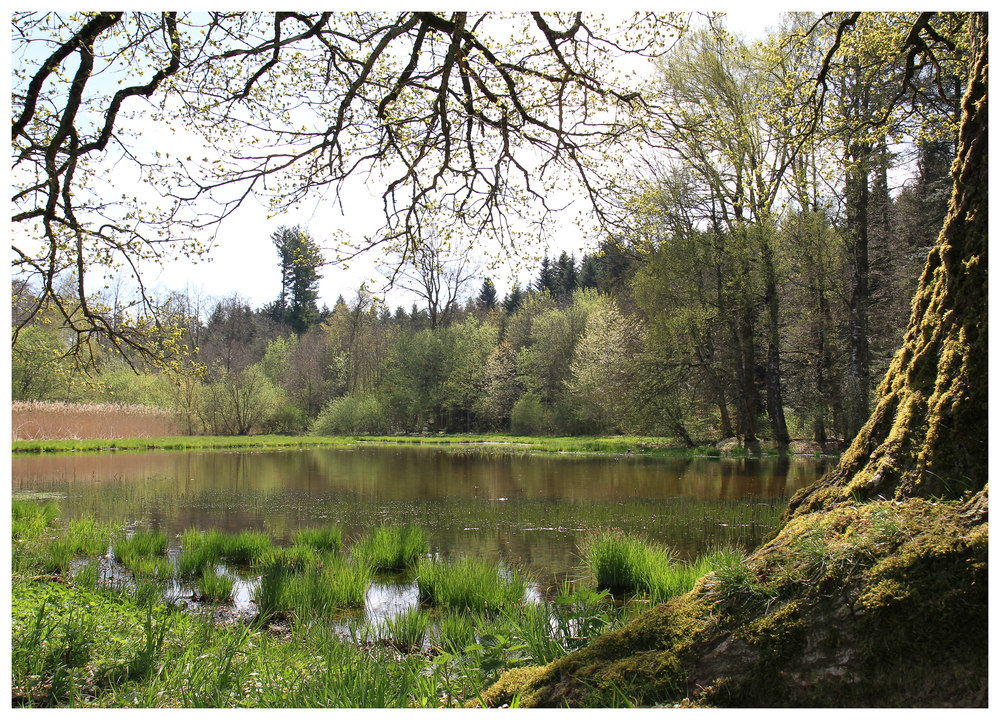 Frühling