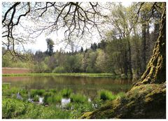 Frühling