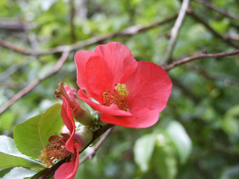 Frühling