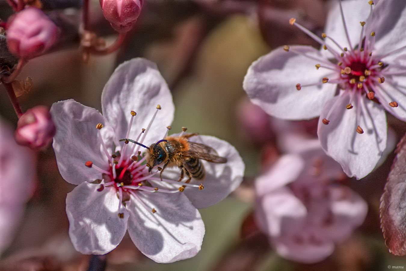 Frühling