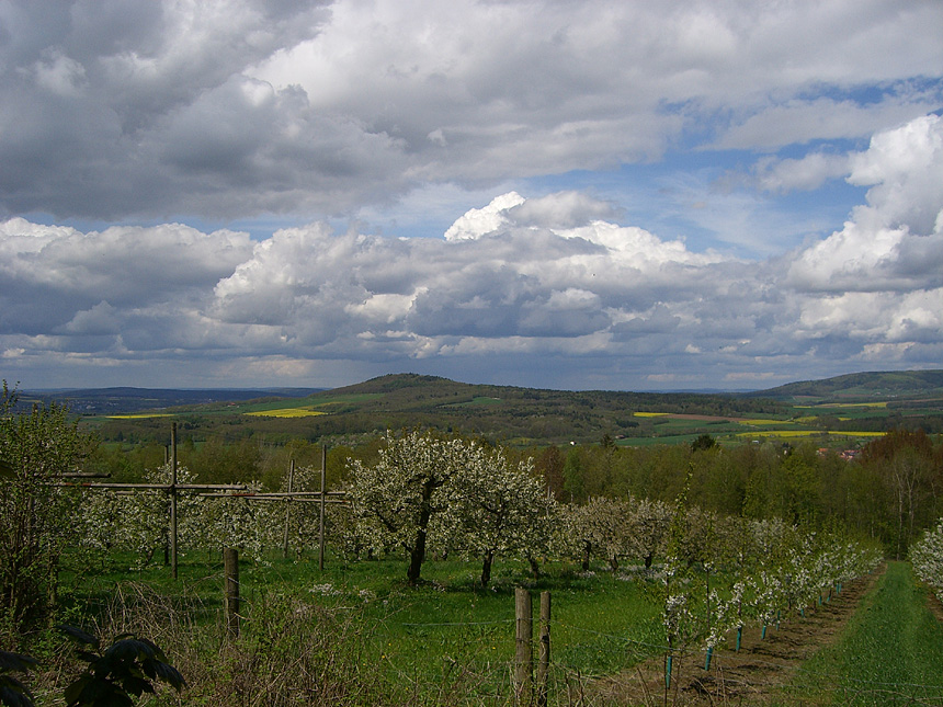 Frühling