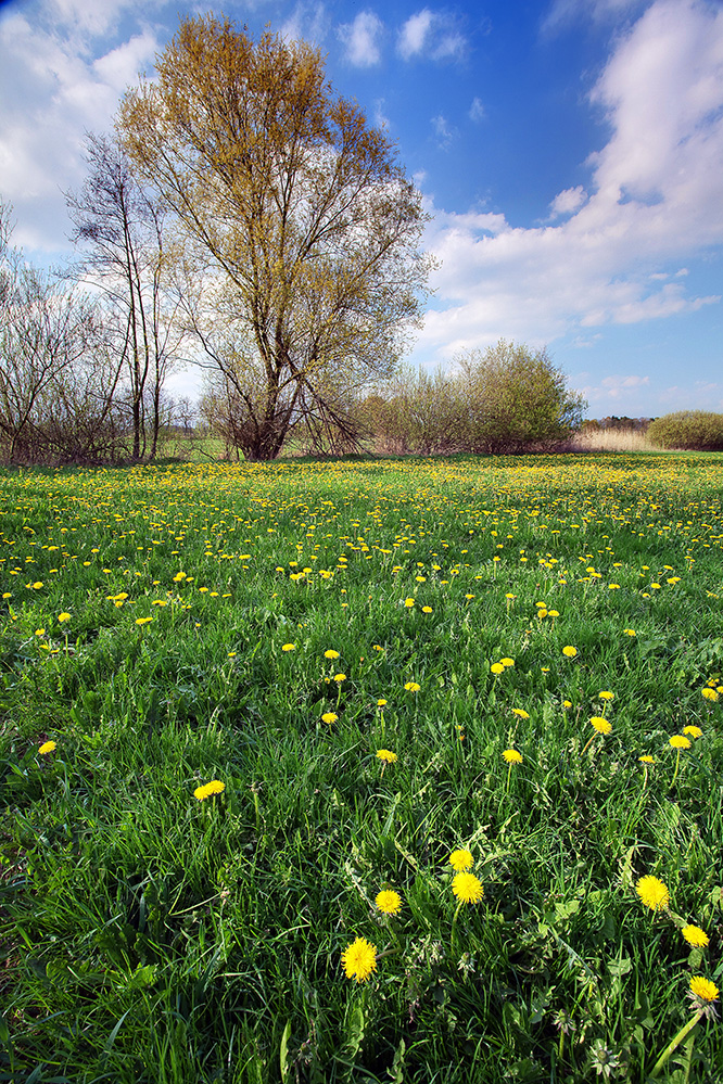 Frühling!