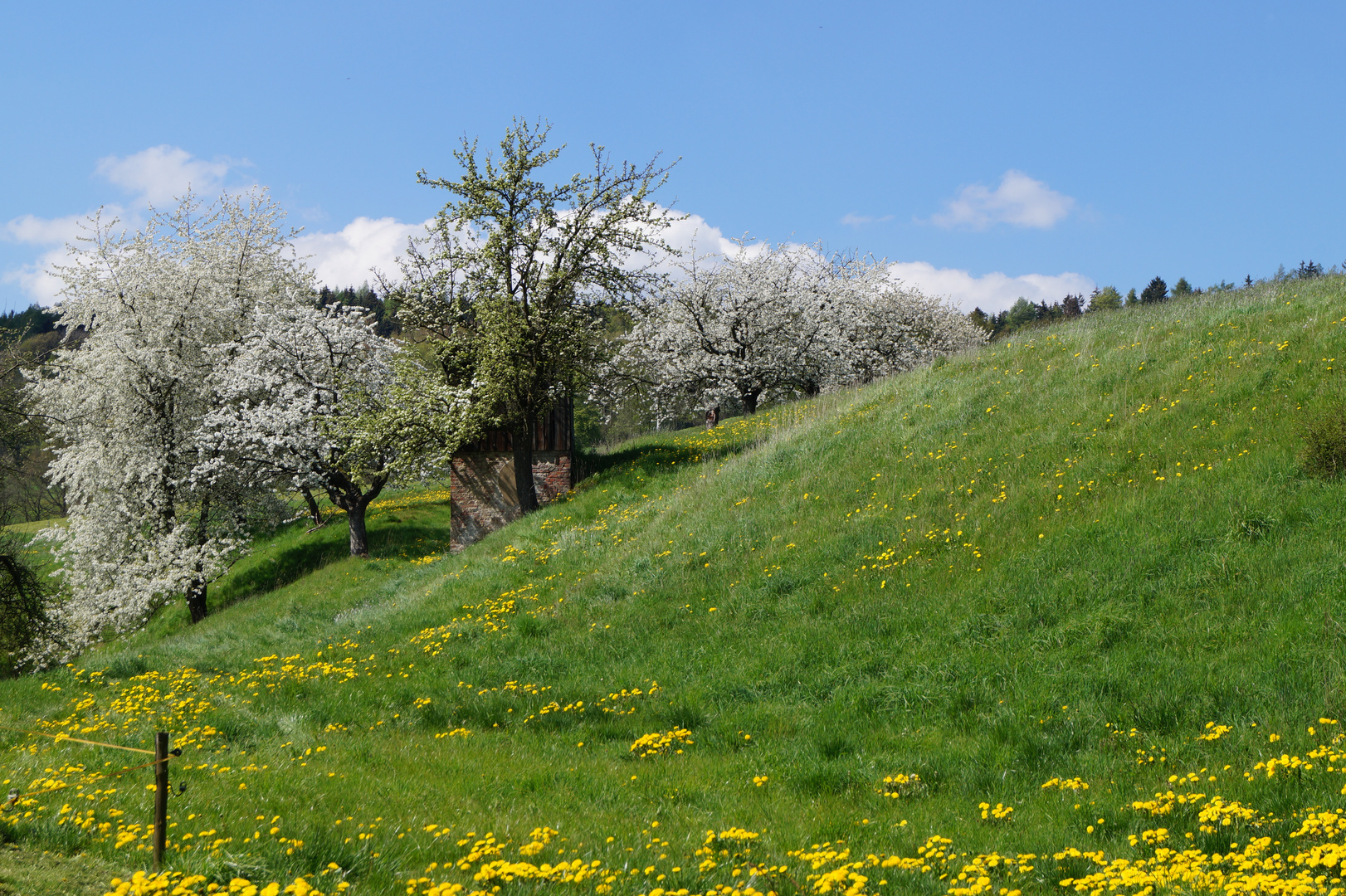 Frühling