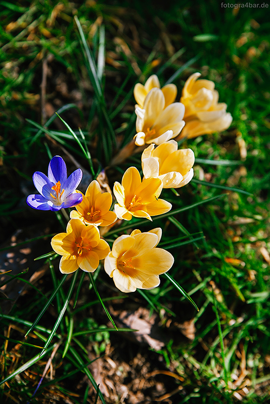 Frühling!