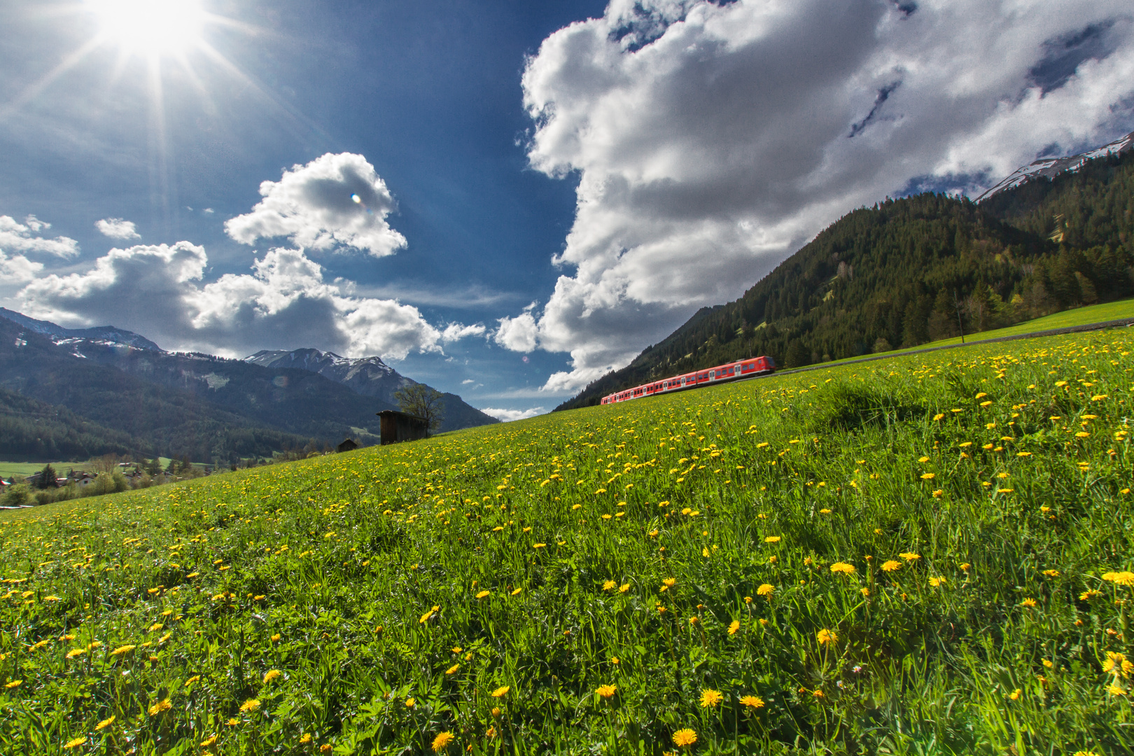 Frühling