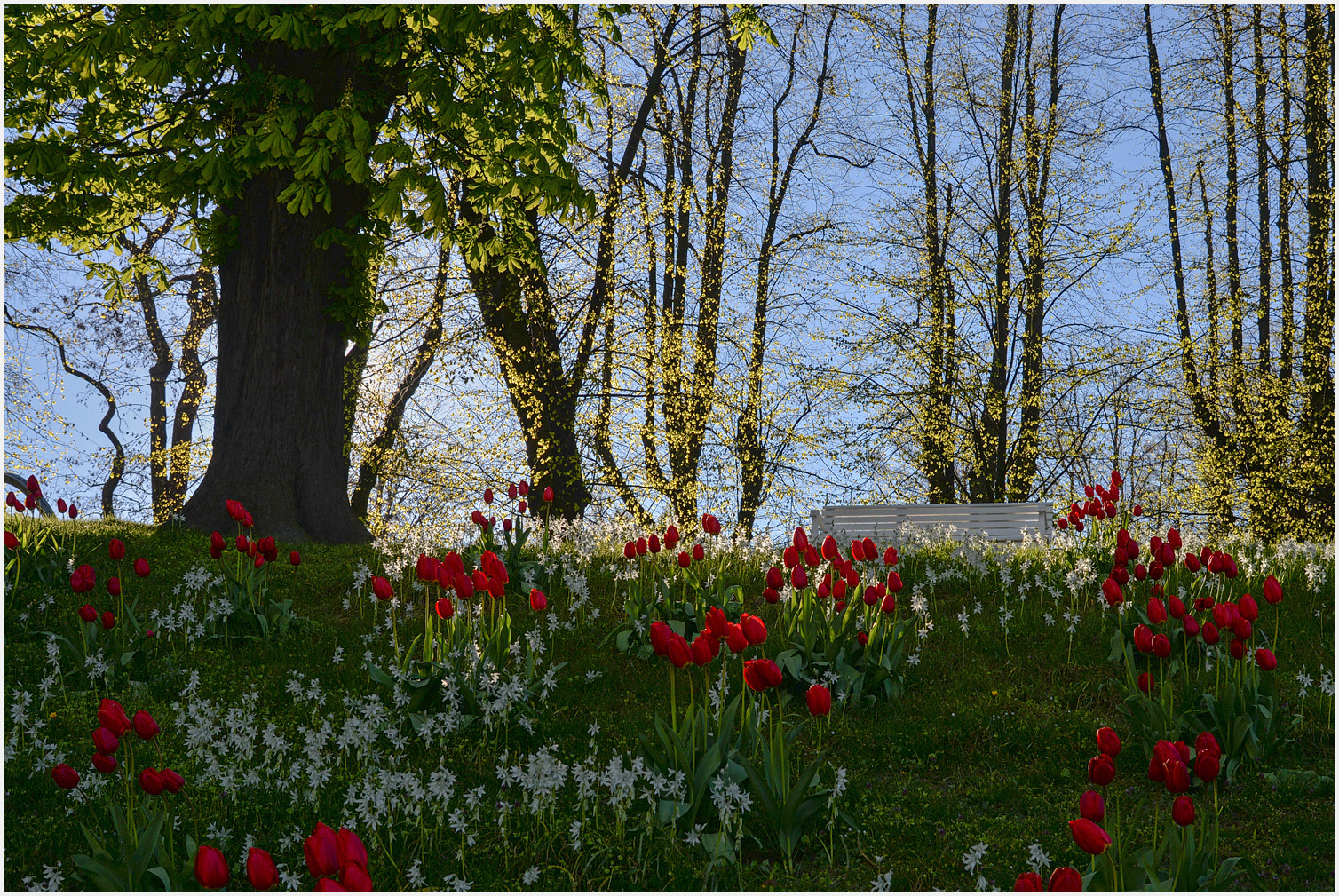 Frühling...