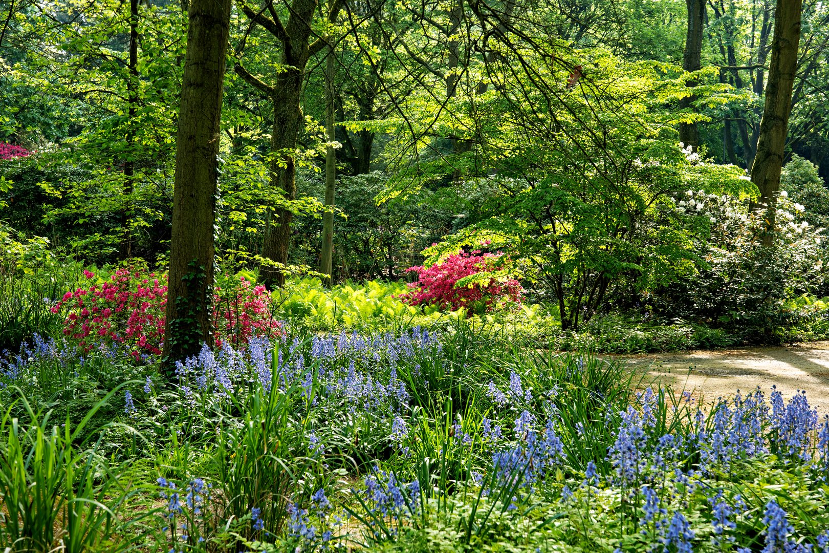 Frühling