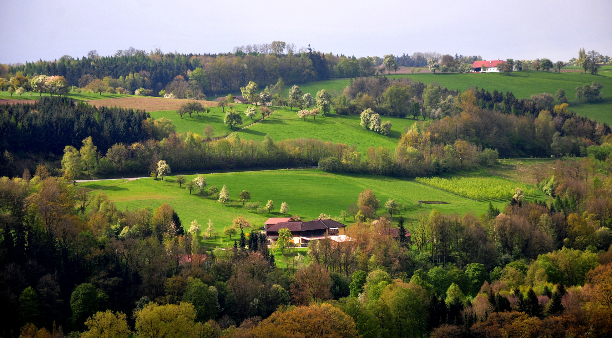 Frühling 