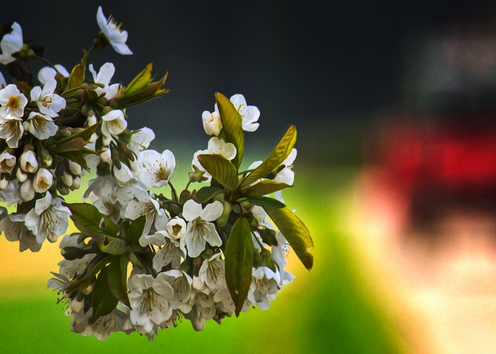 Frühling