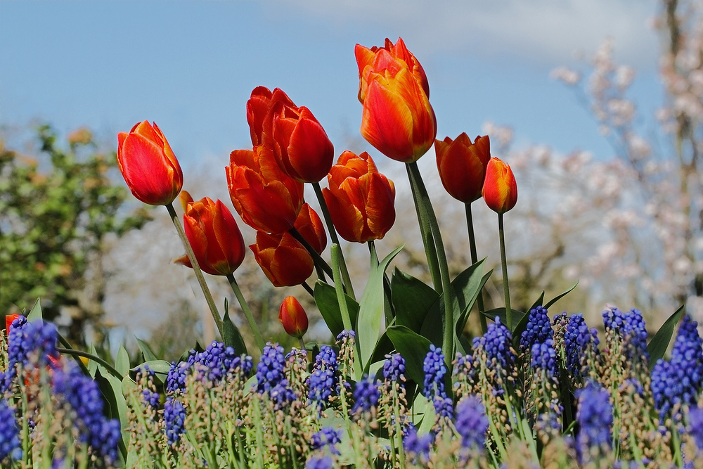 Frühling!