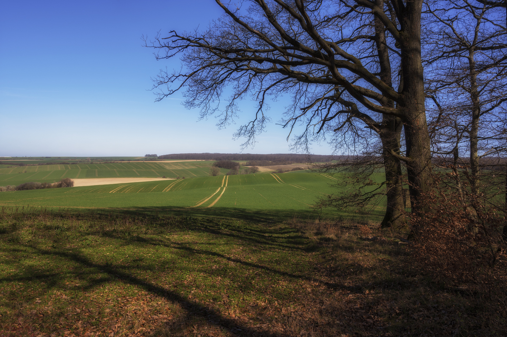 Frühling