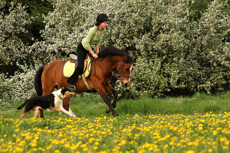 Frühling!