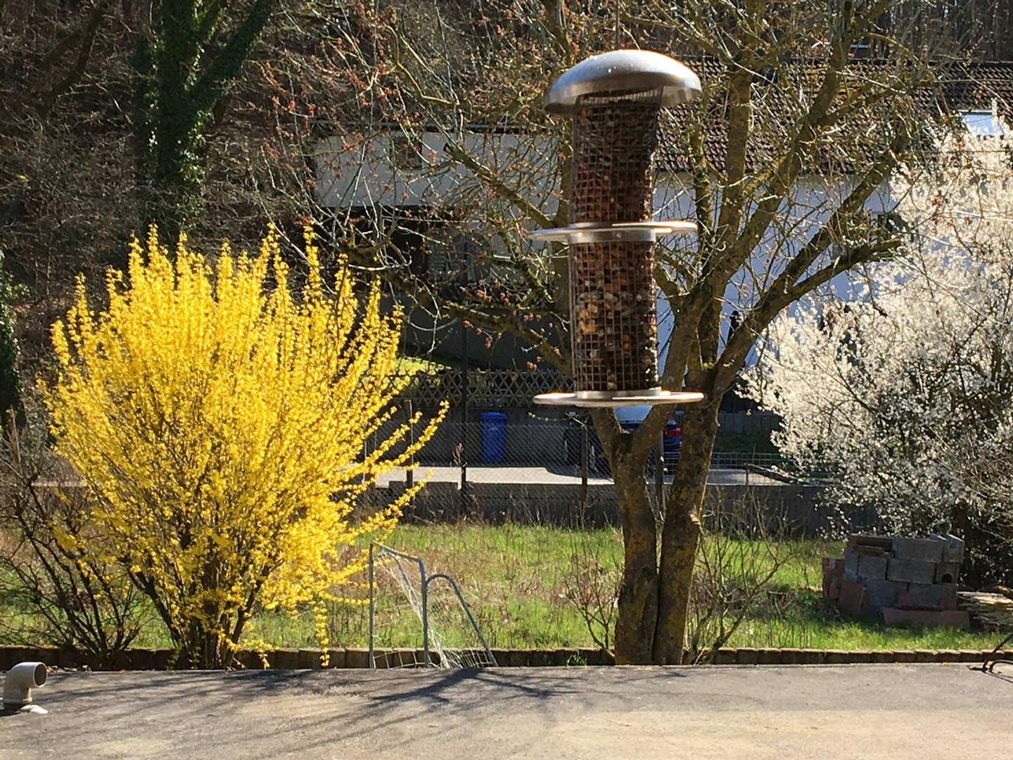 Frühling