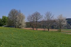 Frühling