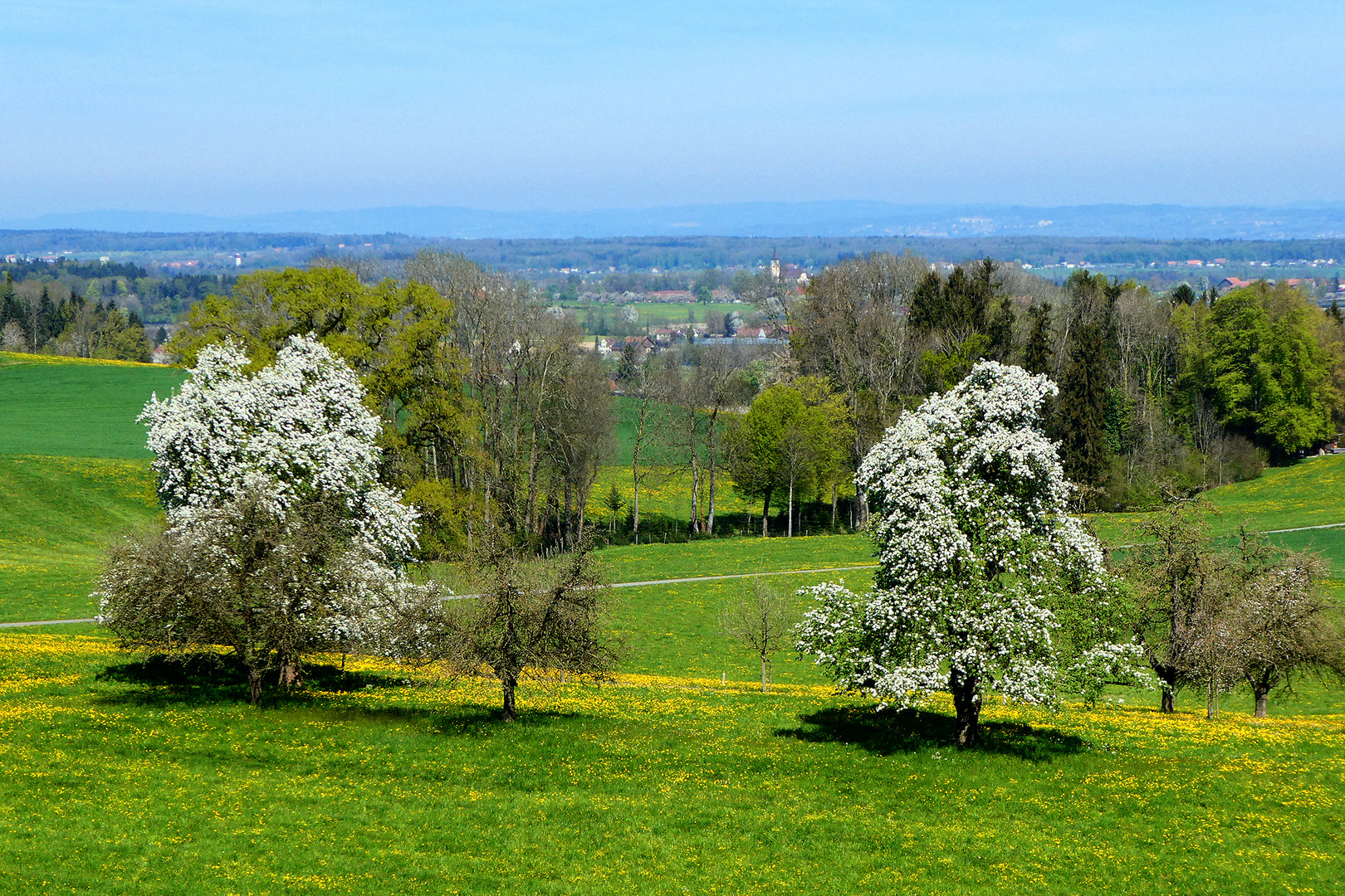 Frühling