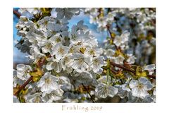 FRÜHLING