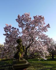 ~ Frühling ~