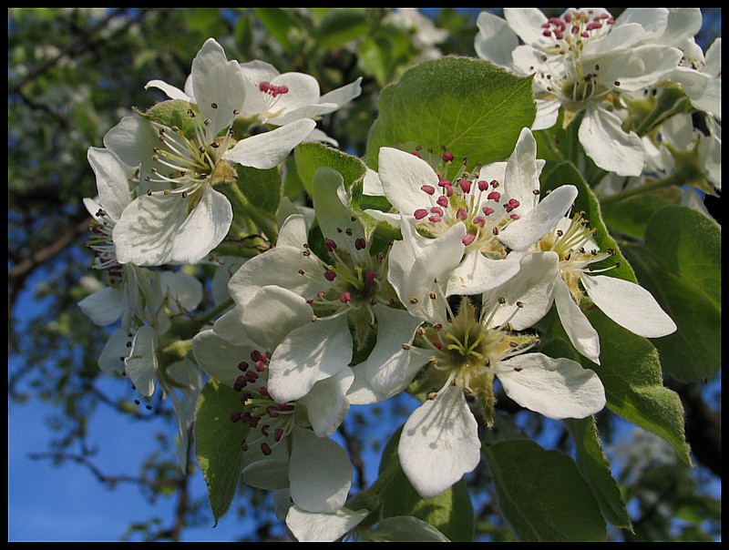 Frühling