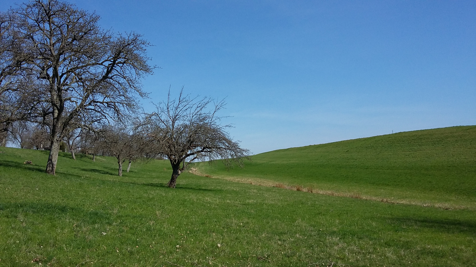 Frühling