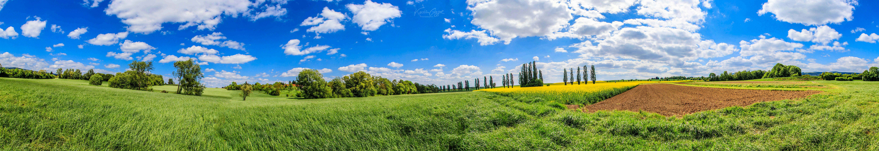 frühling 