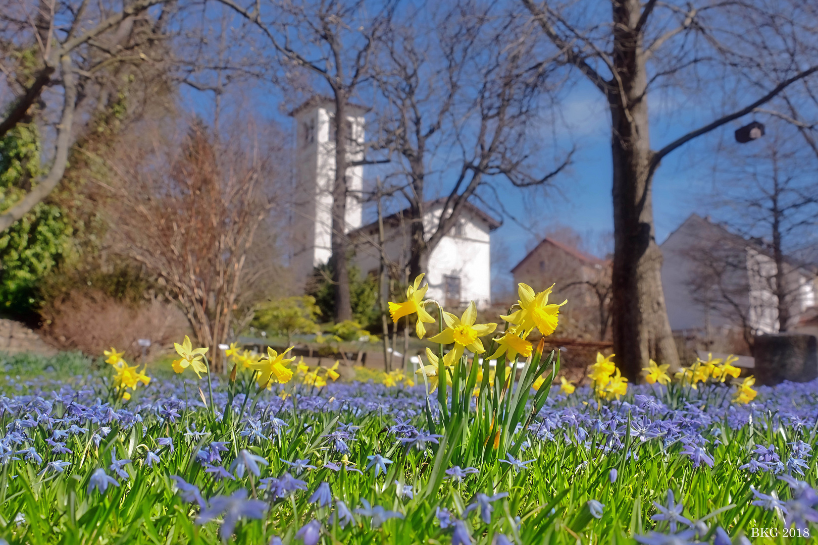 Frühling 