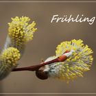 frühling