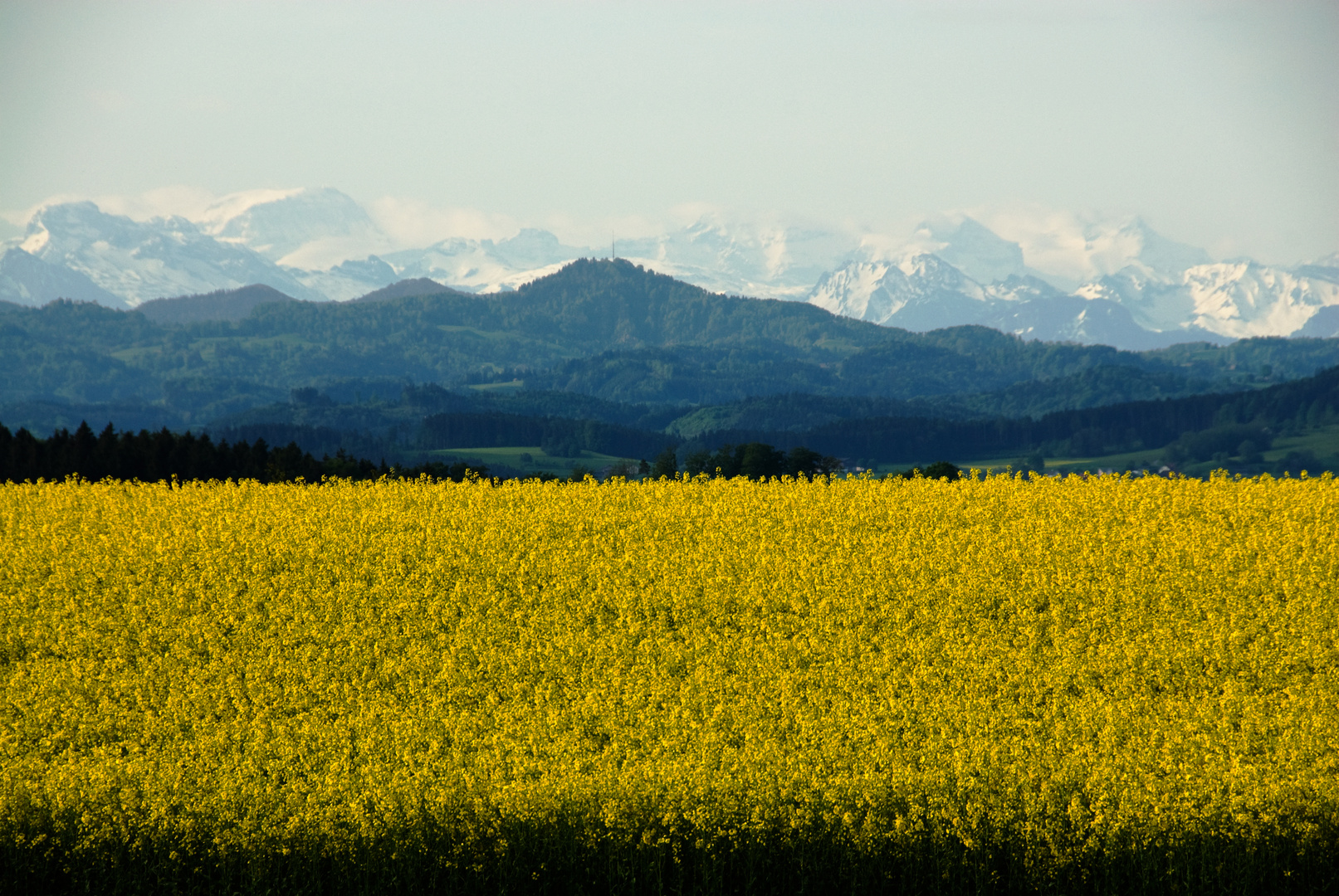 Frühling