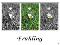 Frühling