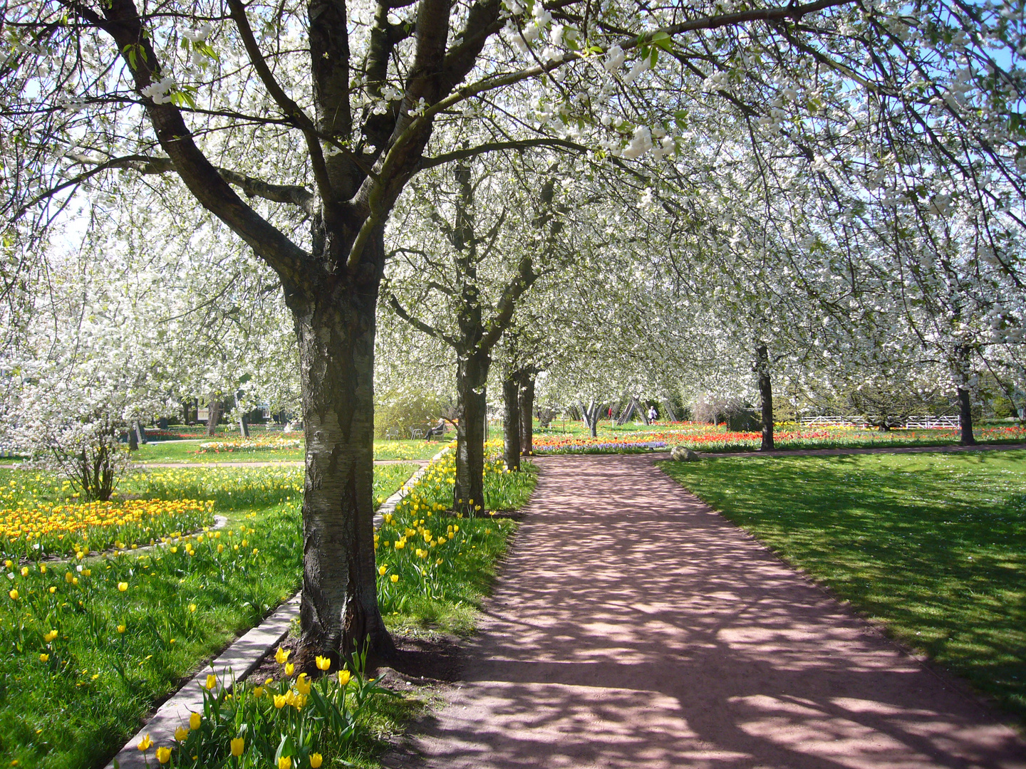 Frühling