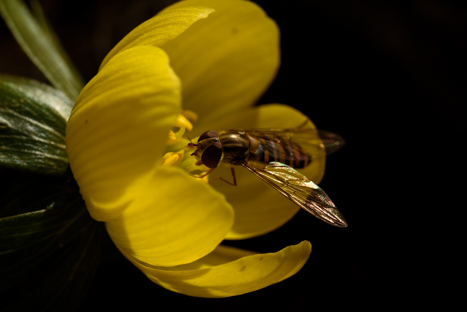 Frühling