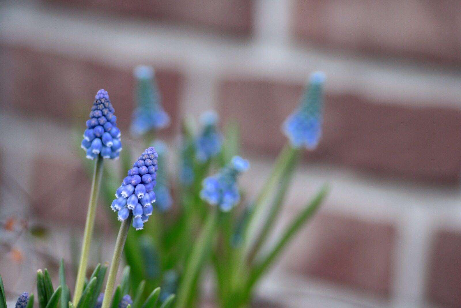 Frühling