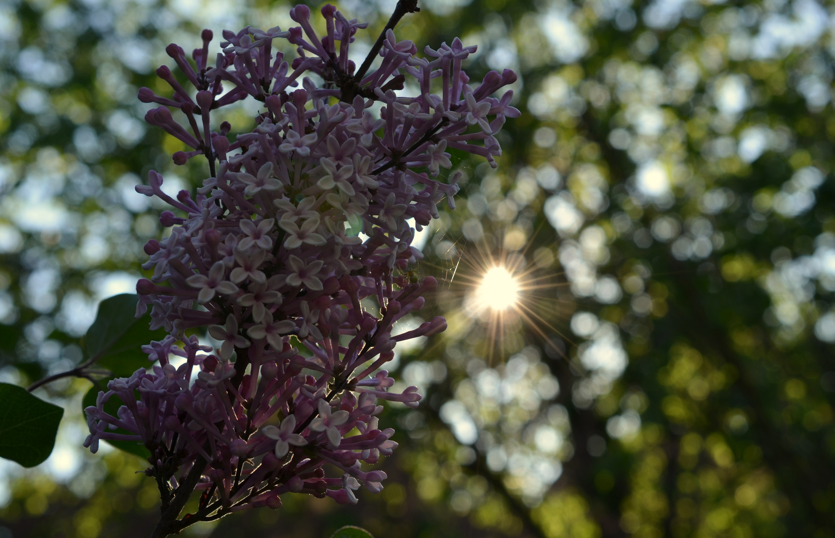 Frühling!