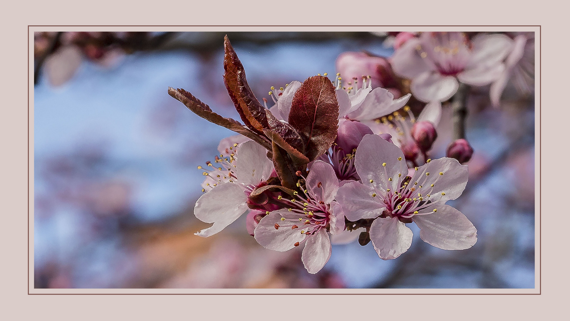 FRÜHLING