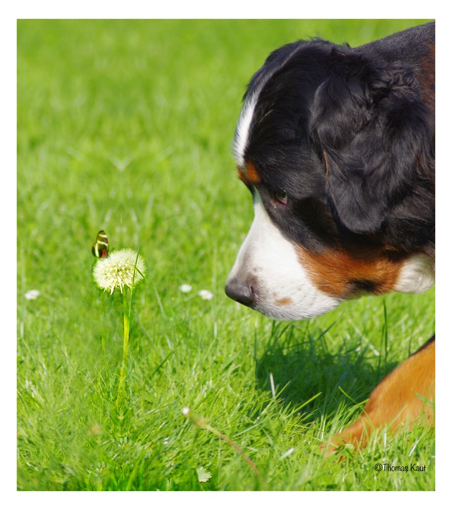 Frühling