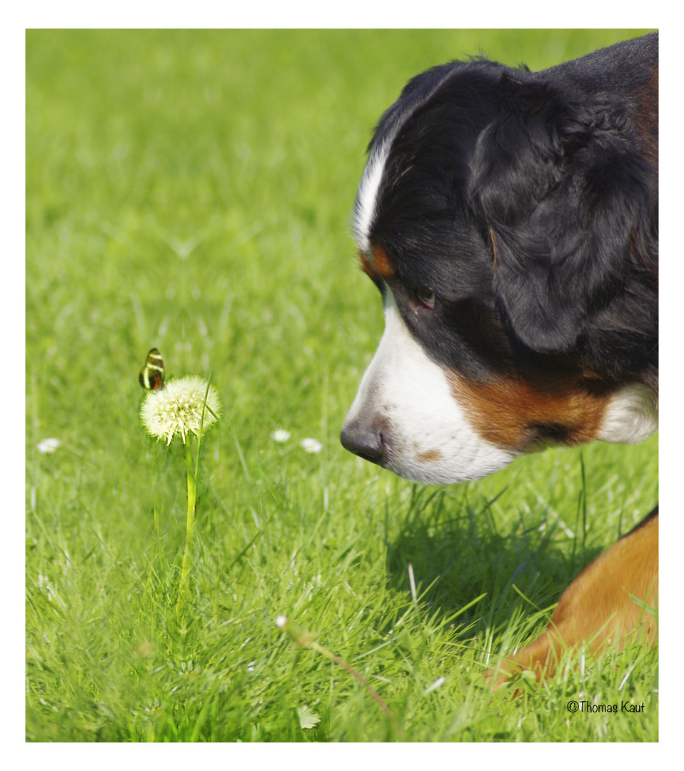 Frühling