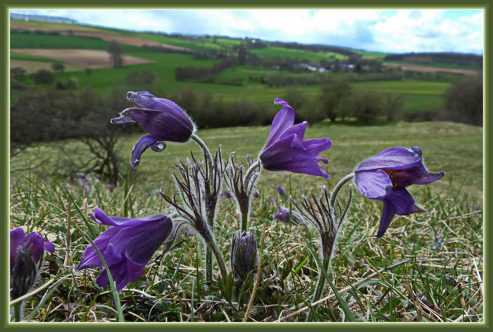 Frühling