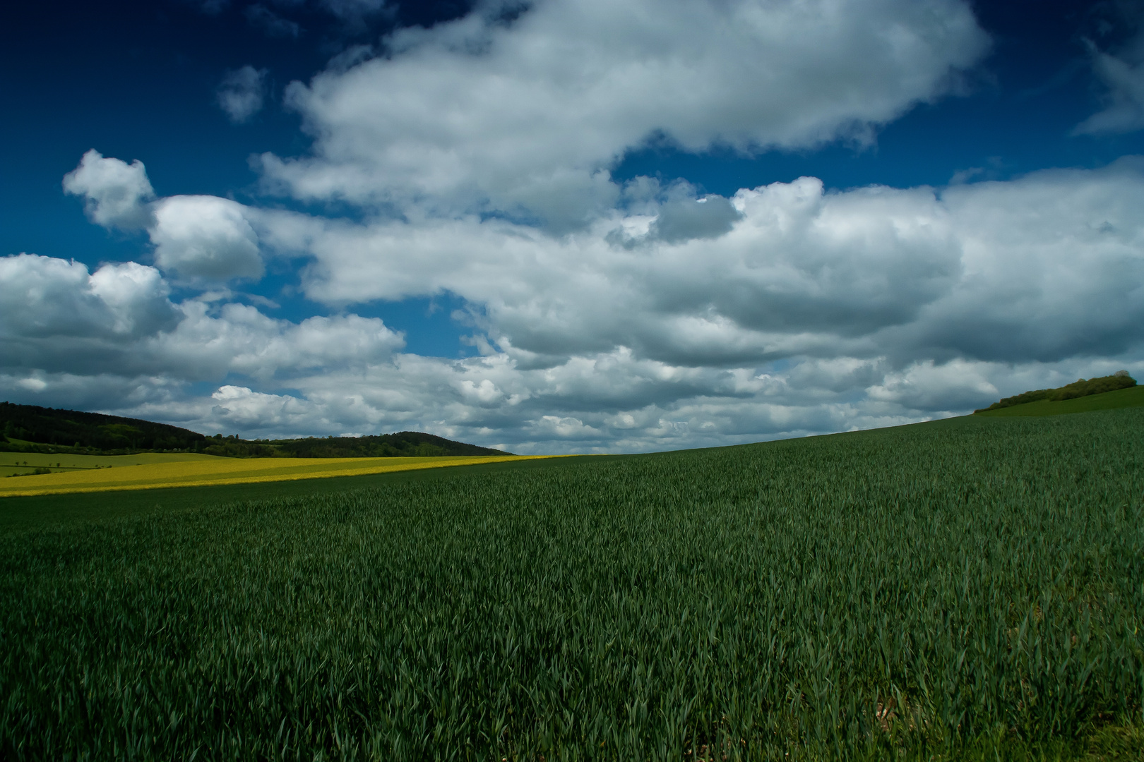 Frühling