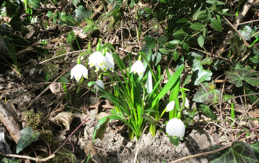 Frühling