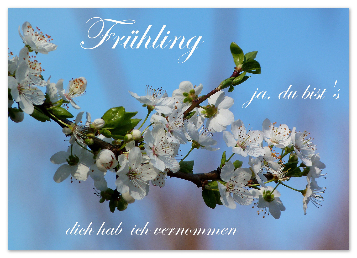 Frühling