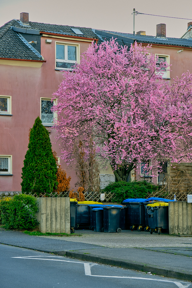 Frühling