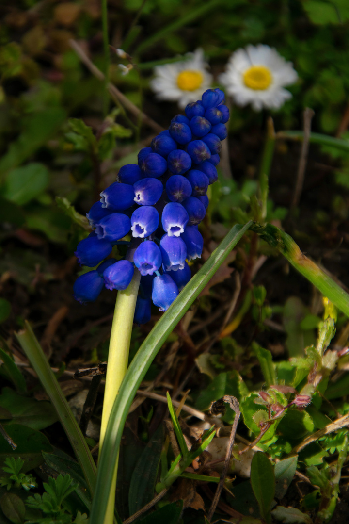 Frühling