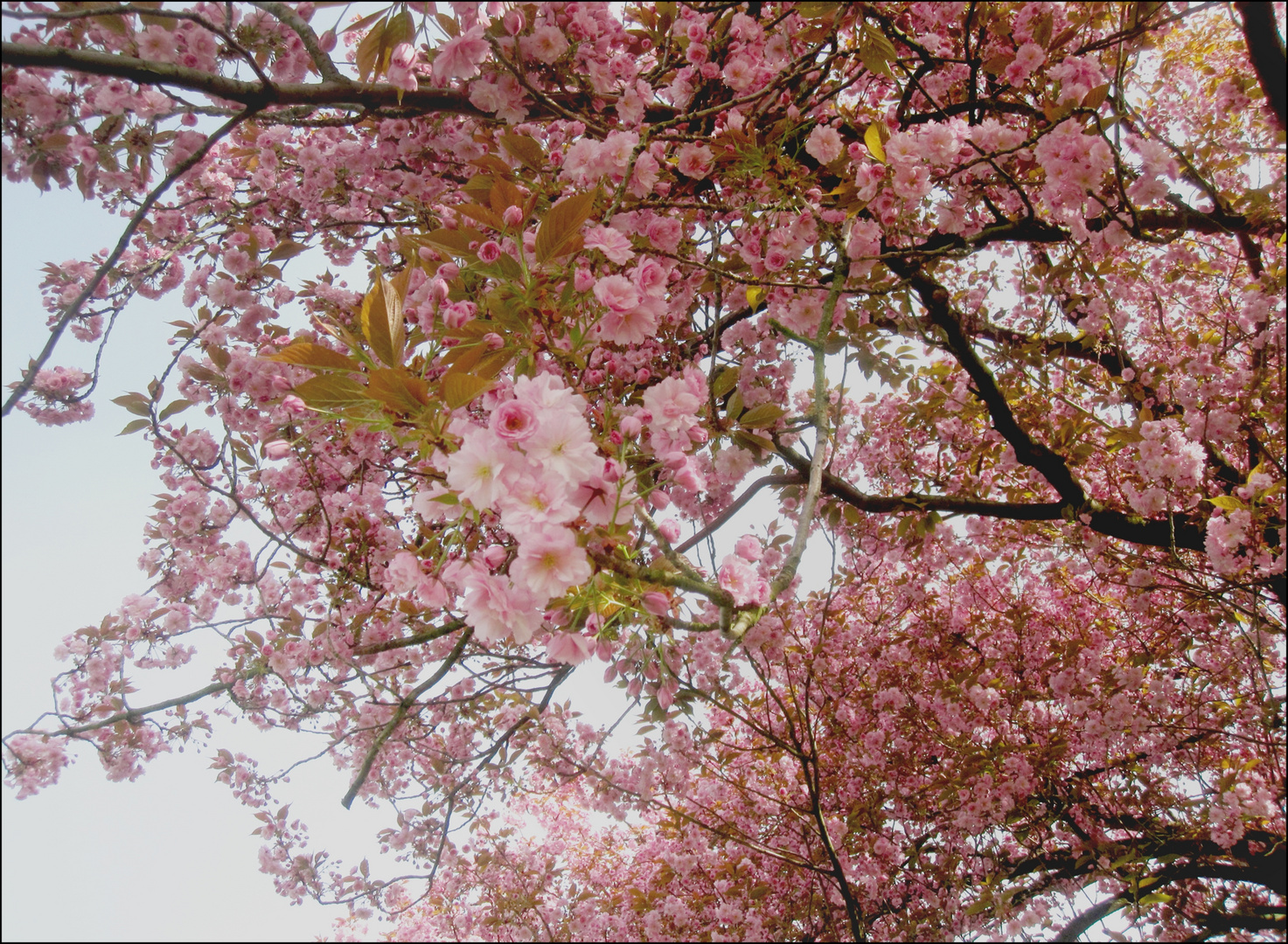 Frühling