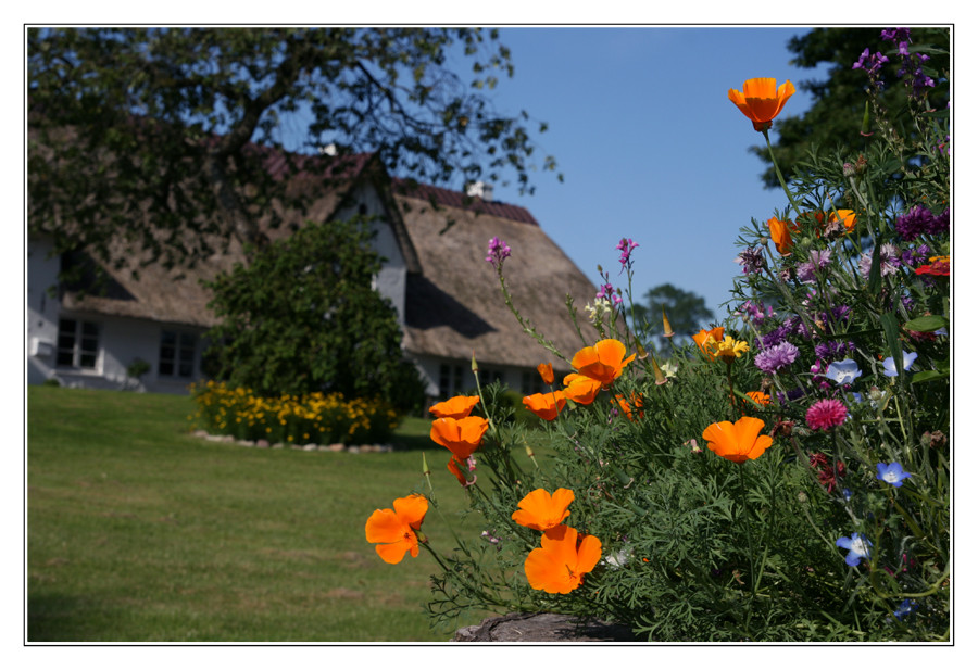 Frühling