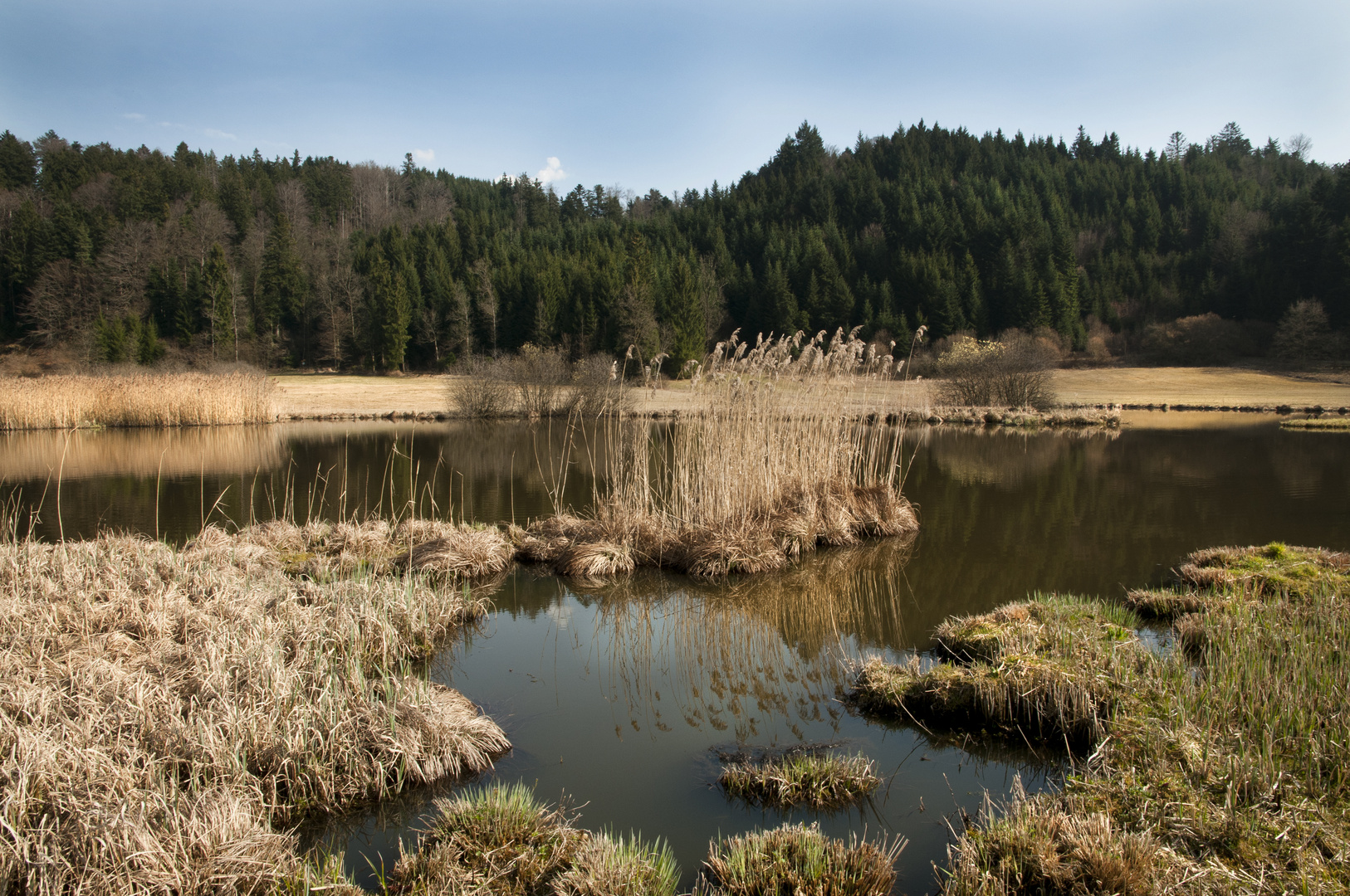 Frühling