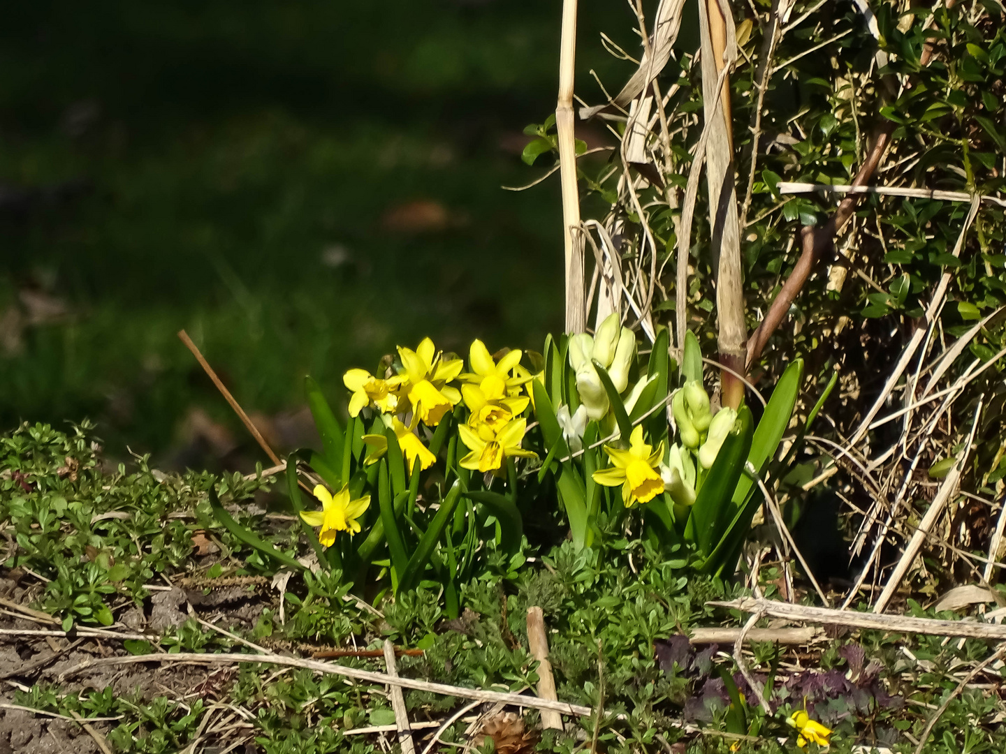 Frühling