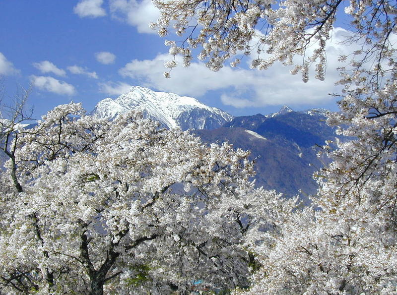 Frühling