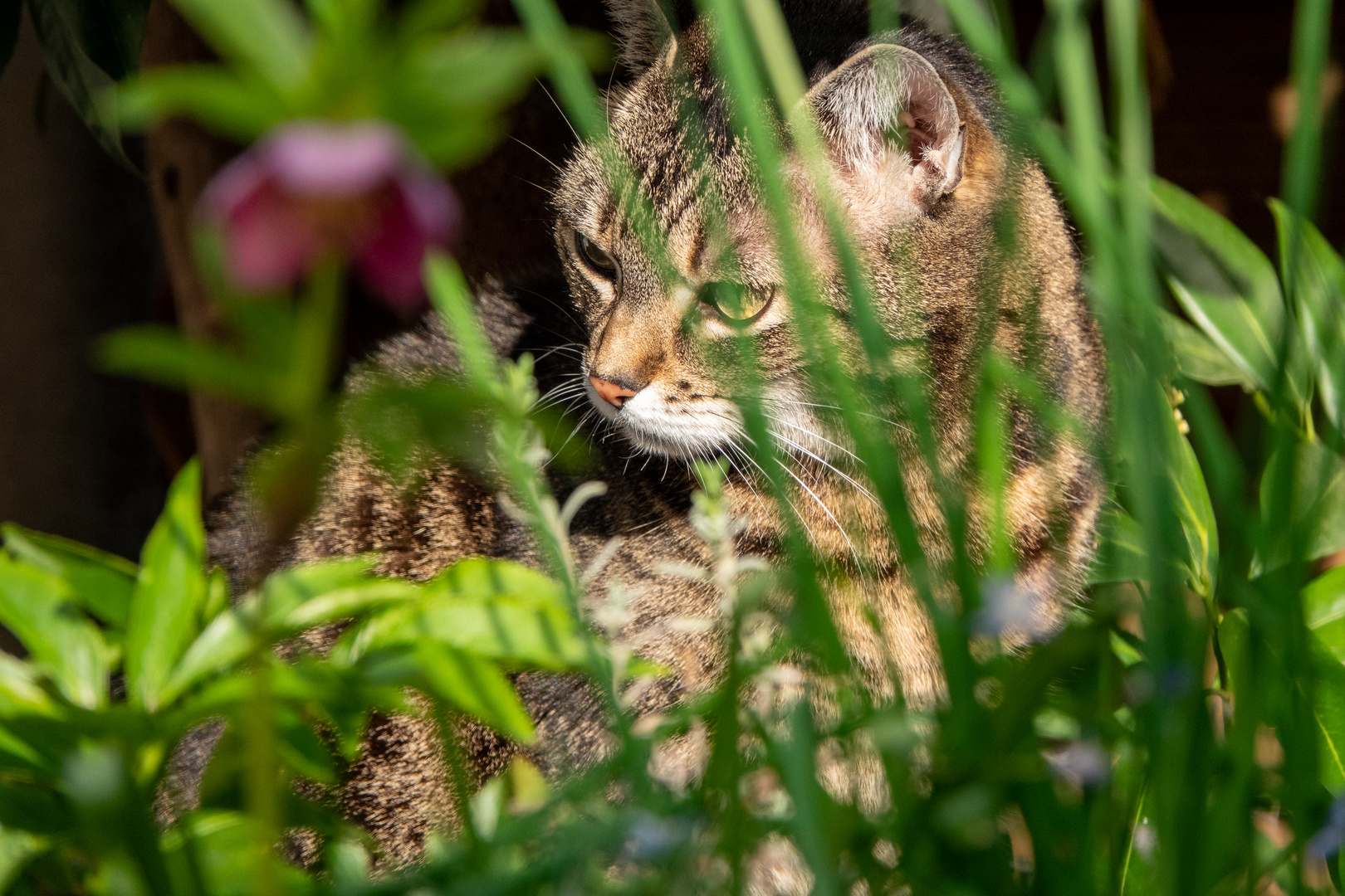 Frühling